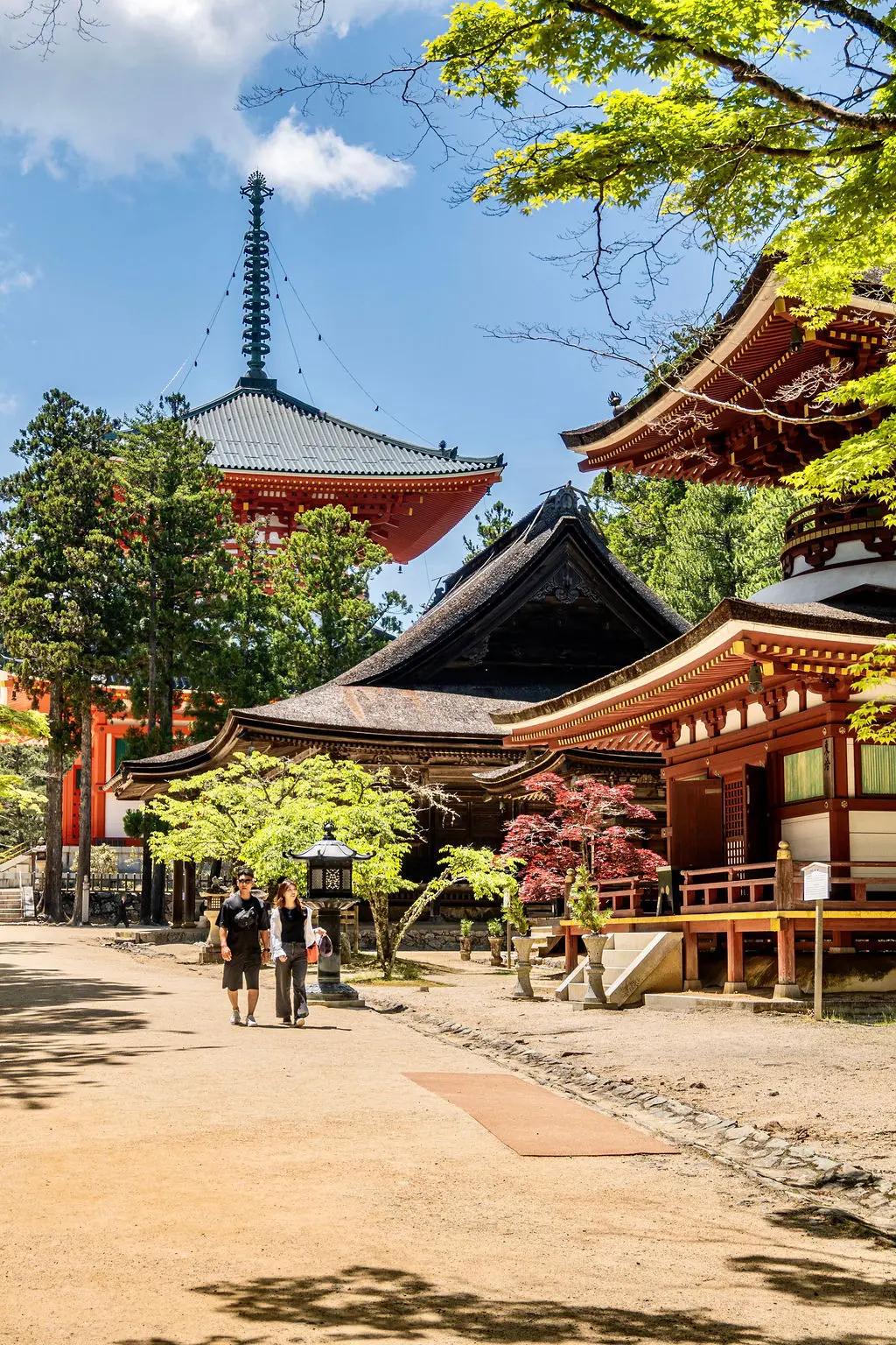 couple walking through a Japanese temple complex on a sunny day