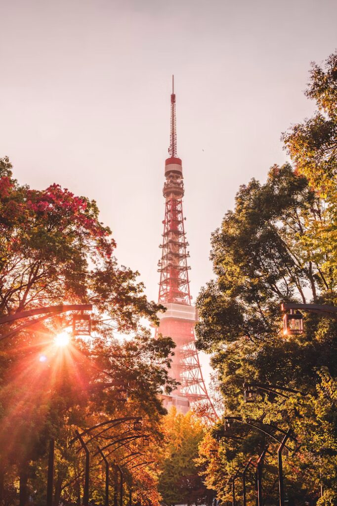 Japan Nomads - Roadtrip Japan - Rondreis Japan - Autoreis Japan